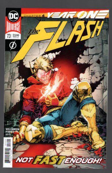 the Flash #73